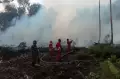 Kebakaran Hutan Gambut Seluas 100 Hektare di Sumbar