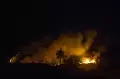 Belum Dapat Dipadamkan, Kebakaran Lahan Gambut di Kalimantan Selatan Meluas
