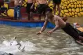 Keseruan Lomba Tangkap Bebek pada Perayaan Peh Cun