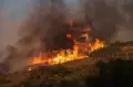 Kebakaran Hutan di Yunani Menggila, Rumah Penduduk Dilalap Habis!