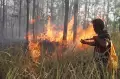 Kebakaran Hanguskan 2 Hektare Hutan di Ngawi