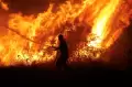 Kebakaran Hutan di Yunani Meluas, Zona Industri Kota Volos Membara