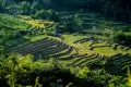 Pesona Wisata Padang Savana Lappa Laona, Selandia Barunya Indonesia