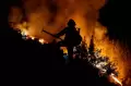 Kebakaran Hutan Semakin Meluas di Spanyol, Ribuan Hektar Hangus