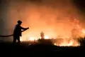 Kebakaran Hebat Hanguskan Lahan di dekat Jalan Tol Palembang - Inderalaya
