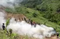 Pemusnahan Ladang Ganja Seluasa 1,2 Hektare di Aceh Utara