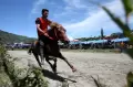 Pacuan Kuda Tradisional di Dataran Tinggi Gayo