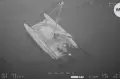 Perahu Rusak Diserang Hiu, Tiga Wisatawan Diselamatkan di Tengah Laut Australia