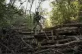 Senyap, Sniper Ukraina Ambil Posisi Tempur di Hutan Bakhmut