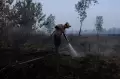 544 Titik Panas Kebakaran Hanguskan Lahan dan Hutan di Kalimantan Barat