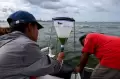 Diserbu Plankton, Perairan Chonburi Thailand Berubah Warna Hijau