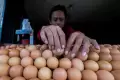 Jelang Bulan Puasa, Harga Telur Ayam Tembus Rp 31 Ribu/Kg