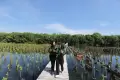 Aksi Penanaman Mangrove Memperingati Hari Bumi Sedunia