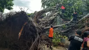 Ini Data Sementara Titik Bencana Angin Kencang di Kota Bogor