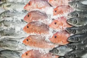 6 Ikan yang Mengandung Merkuri, Ini Bahayanya Jika Dikonsumsi Berlebihan