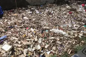 Lautan Sampah di Kali Licin Pancoran Mas Diduga dari Hulu