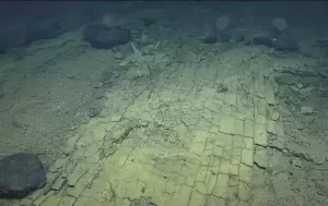 Penemuan Formasi Batu Bata Kuning di Dasar Laut Hawaii, Disebut Mirip Jalan Menuju Atlantis