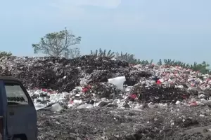 Heboh TPS Ilegal di Bekasi, Lima Tahun Petani Pebayuran Gagal Panen