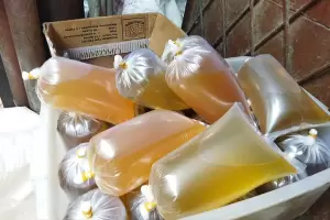 Subsidi Minyak Goreng Gurah Dicabut, Kemenperin Jamin Harga Tetap Rp14.000/Liter