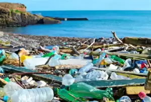 Kampanye Kurangi Sampah, Seribuan Orang Bakal Kemah di Pantai Sebrotan Madasari Pangandaran