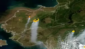 Kebakaran Dahsyat Landa Hutan Alaska, Satelit NOAA Berikan Peringatan Bahaya