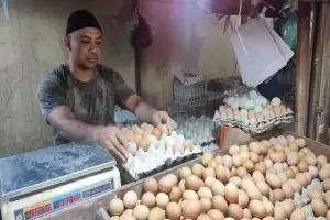 APPSI Sebut Harga Bahan Pokok Naik, Telur di Papua Tembus Rp45.500 per Kg