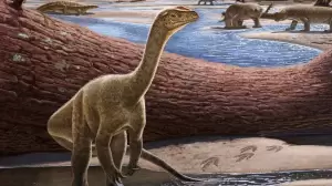 Berleher Panjang, Arkeolog Temukan Fosil Dinosaurus Tertua di Bumi