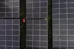 Bangun Pabrik Solar Panel Terbesar di ASEAN, PLN Gandeng 3 Produsen