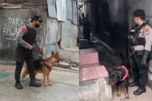 Gerebek Kampung Boncos, Polisi Libatkan 2 Anjing Pelacak K9