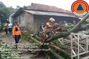 Angin Kencang Terjang Bogor, 13 Atap Rumah Warga Rusak dan Pohon Tumbang