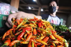 Awal Tahun Baru, Harga Cabai Rawit Bertahan Rp90.000 per Kg di Pasar Slipi