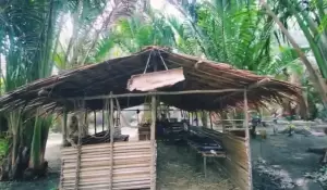 Mengintip Konsep Ungkea Jungle, Restoran Unik di Tengah Hutan Papua