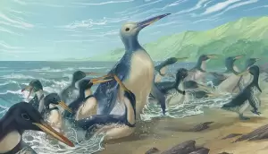 Fosil Penguin Purba Ditemukan di Selandia Baru, Berukuran Raksasa Bobotnya 154 Kg