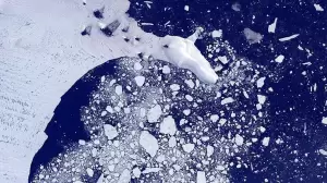 Bahaya! Pasokan Nutrisi dan Oksigen Arus Laut Dalam Antartika Melambat