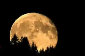 Ini Supermoon Pertama Tahun 2023, Bulan Purnama Buck Moon Jaraknya Lebih Dekat Bumi
