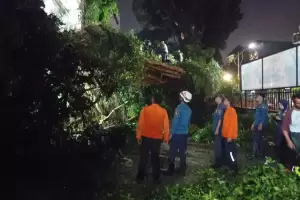 Sehari 21 Bencana Melanda Kota Bogor, Longsor dan Pohon Tumbang Mendominasi