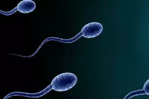 Teori Turning, Bukti Integrasi Ilmu Matematika dalam Pergerakan Ekor Sperma