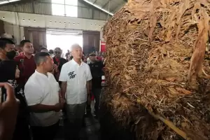 Peduli Petani Tembakau, Ganjar Pranowo Siap Pacu Jawa Tengah Jadi Pusat Tembakau RI