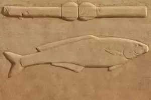 Firaun anggap Ikan Lele Itu Tuhan, Ceritanya Diabadikan di Lukisan dan Patung