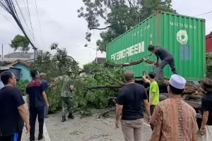 Truk Kontainer Evergreen Tabrak Dahan Pohon, Jalan Raya Kedung Halang Bogor Jadi Macet