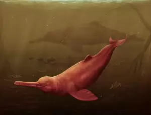Keberadaan Lumba-lumba Raksasa Penghuni Sungai Amazon Terkuak