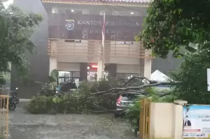 Imbas Hujan Disertai Angin, Sejumlah Pohon Tumbang di Depok dan Menimpa Mobil
