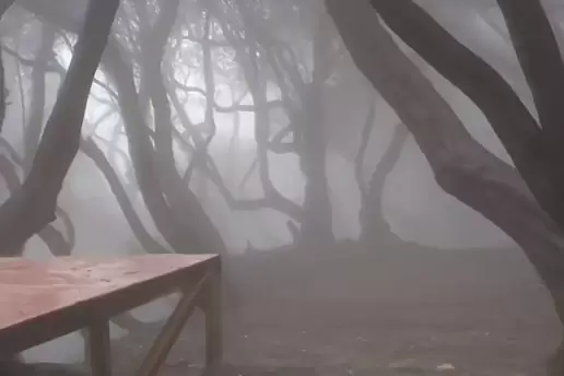 Viral! Warung Makan di Tangkuban Parahu Punya Pemandangan Hutan bak Film Harry Potter